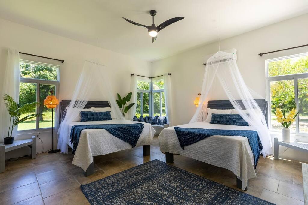 Ivy'S Cove Beach Side Condo - Luxury Villa Whitehouse 외부 사진