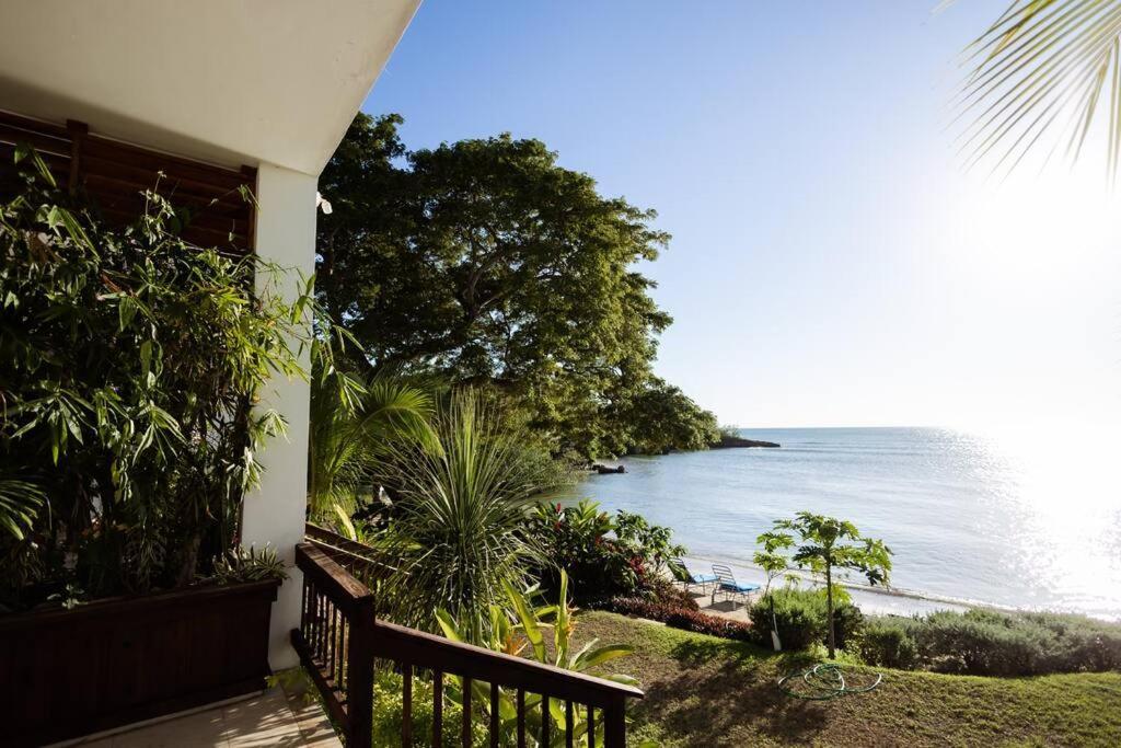 Ivy'S Cove Beach Side Condo - Luxury Villa Whitehouse 외부 사진